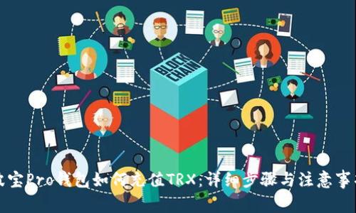 波宝Pro钱包如何充值TRX：详细步骤与注意事项