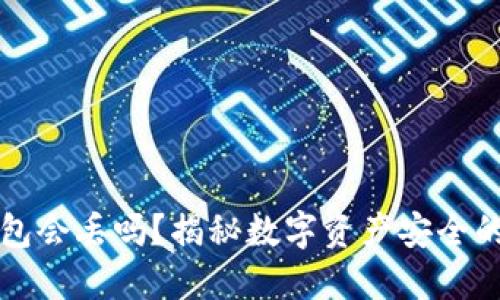 比特币钱包会丢吗？揭秘数字资产安全的关键因素