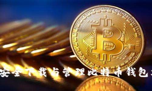 如何安全下载与管理比特币钱包文件？