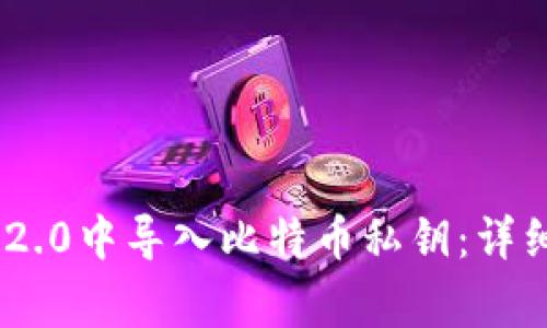 如何在Tokenim 2.0中导入比特币私钥：详细步骤与注意事项