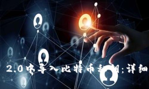 如何在Tokenim 2.0中导入比特币私钥：详细步骤与注意事项