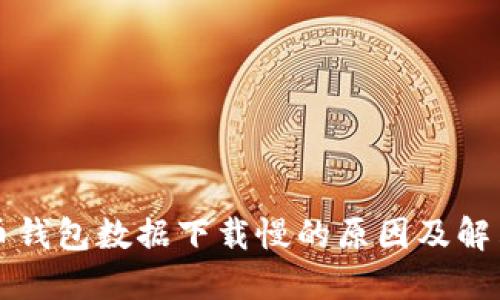 比特币钱包数据下载慢的原因及解决方案