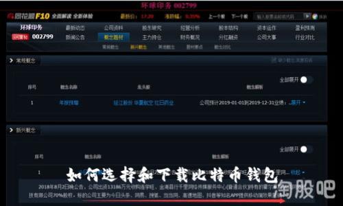 如何选择和下载比特币钱包