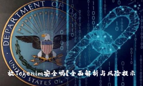放Tokenim安全吗？全面解析与风险提示