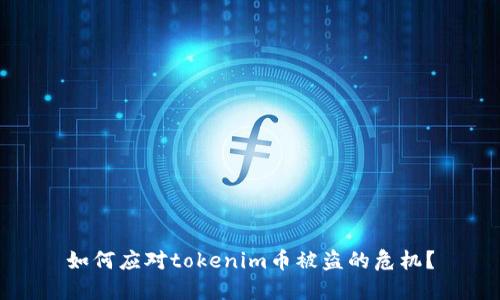 如何应对tokenim币被盗的危机？