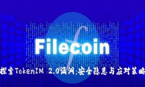 探索TokenIM 2.0漏洞：安全隐患与应对策略