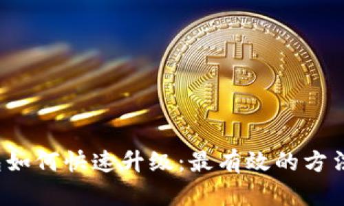 LTC钱包如何快速升级：最有效的方法与步骤