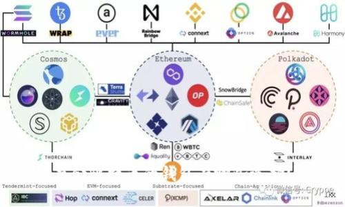 存储比特币的钱包有哪些选择？