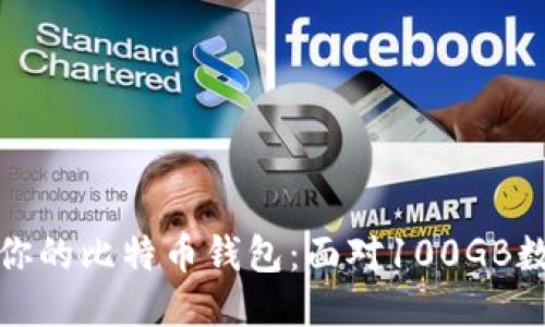 如何管理你的比特币钱包：面对100GB数据的挑战
