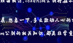 ### 什么是Tokenim公钥？在当