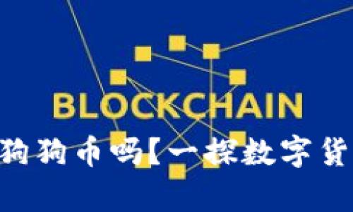 Tokenim可以存狗狗币吗？一探数字货币平台的便利性