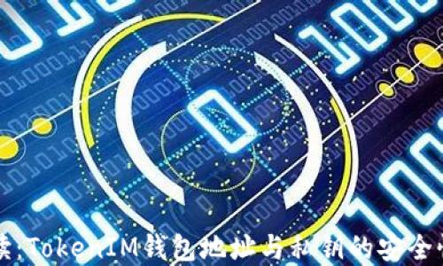 
完整解读：TokenIM钱包地址与私钥的安全性与使用