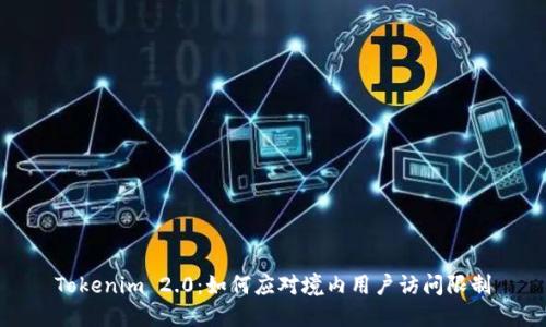 Tokenim 2.0：如何应对境内用户访问限制