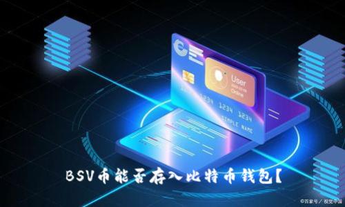BSV币能否存入比特币钱包？
