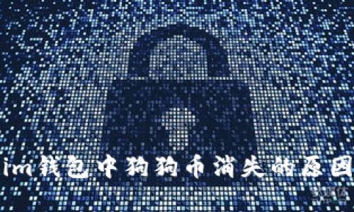 探讨Token.im钱包中狗狗币消失的原因及解决方案