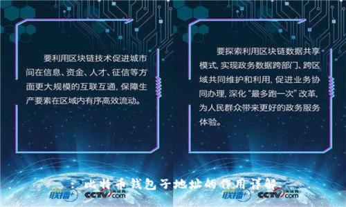 : 比特币钱包子地址的作用详解
