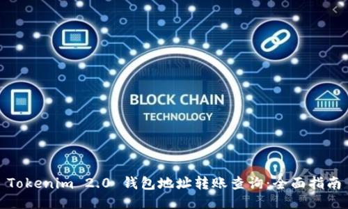 Tokenim 2.0 钱包地址转账查询：全面指南