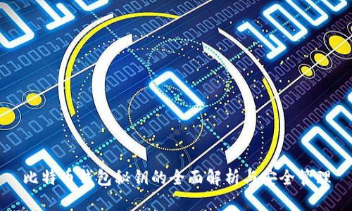 比特币钱包秘钥的全面解析与安全管理