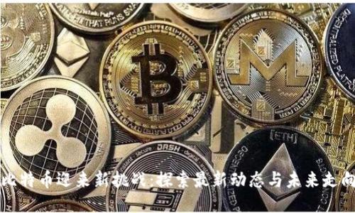 比特币迎来新挑战：探索最新动态与未来走向
