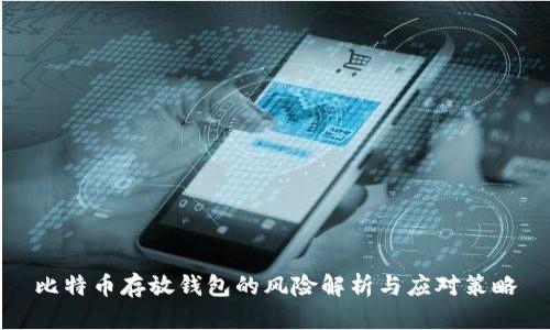 比特币存放钱包的风险解析与应对策略