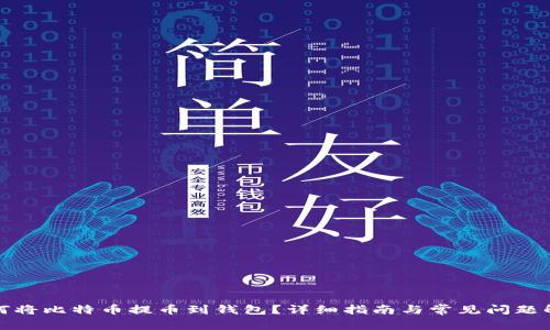 如何将比特币提币到钱包？详细指南与常见问题解答
