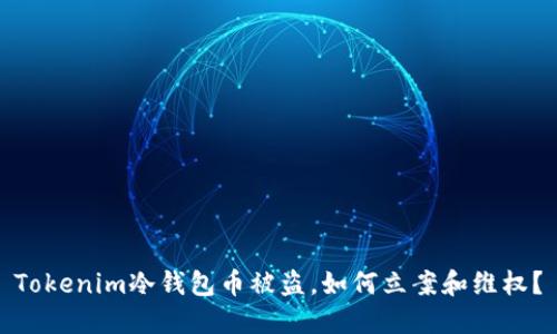 Tokenim冷钱包币被盗，如何立案和维权？