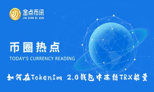如何在TokenIm 2.0钱包中冻结TRX能量