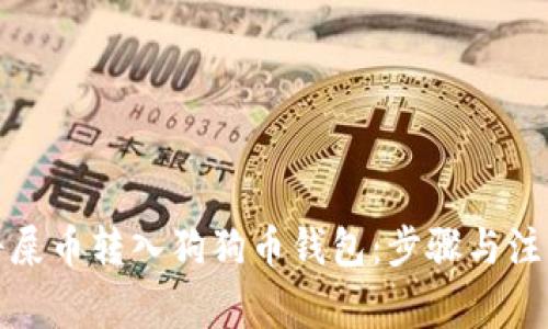 如何将屎币转入狗狗币钱包：步骤与注意事项