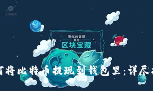 如何将比特币提现到钱包里：详尽指南