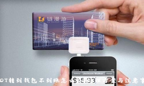  
USDT转到钱包不到账怎么办？处理方案与注意事项