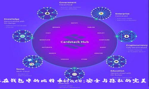 : 存在钱包中的比特币iface：安全与隐私的完美结合