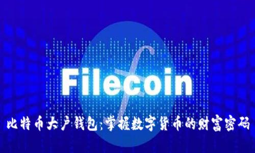 比特币大户钱包：掌握数字货币的财富密码