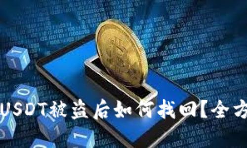 冷钱包USDT被盗后如何找回？全方位指南