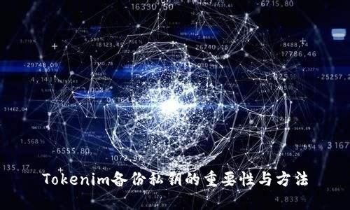 Tokenim备份私钥的重要性与方法