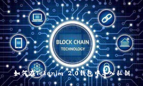 如何在Tokenim 2.0钱包中导入私钥