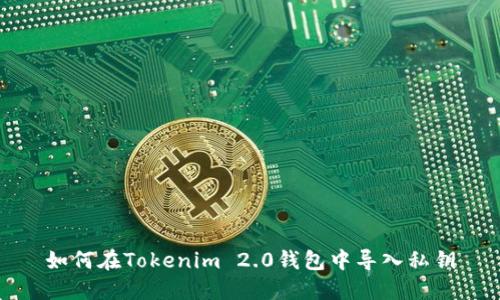 如何在Tokenim 2.0钱包中导入私钥